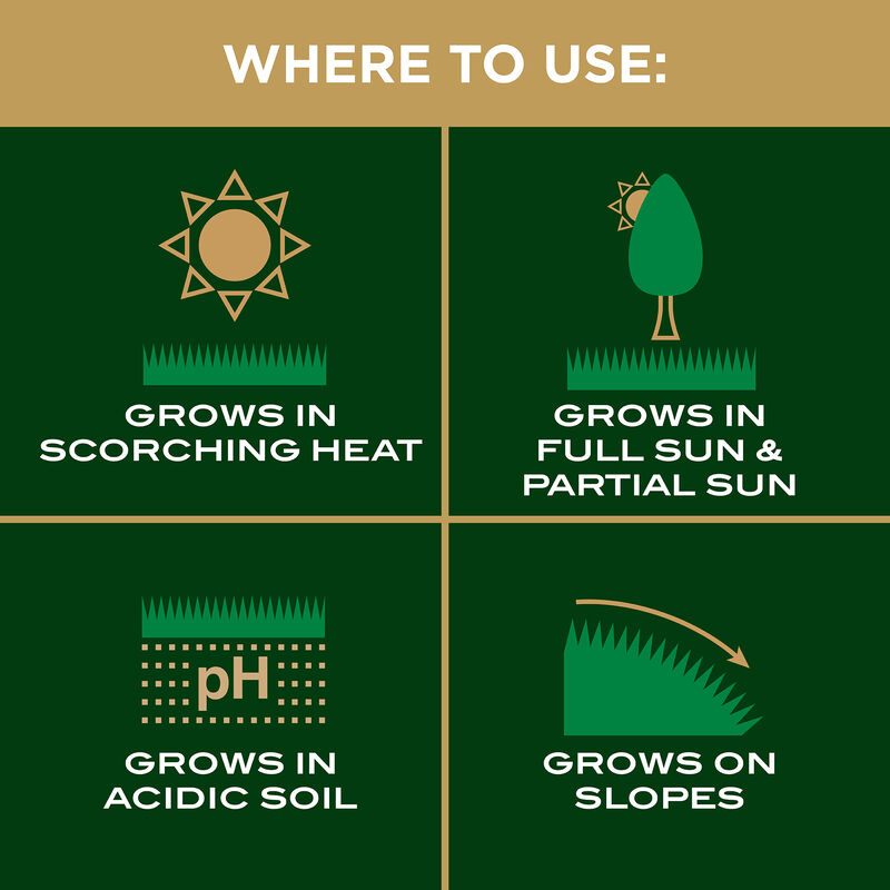 Scotts&reg; EZ Seed&reg; Patch & Repair Centipede Grass image number null